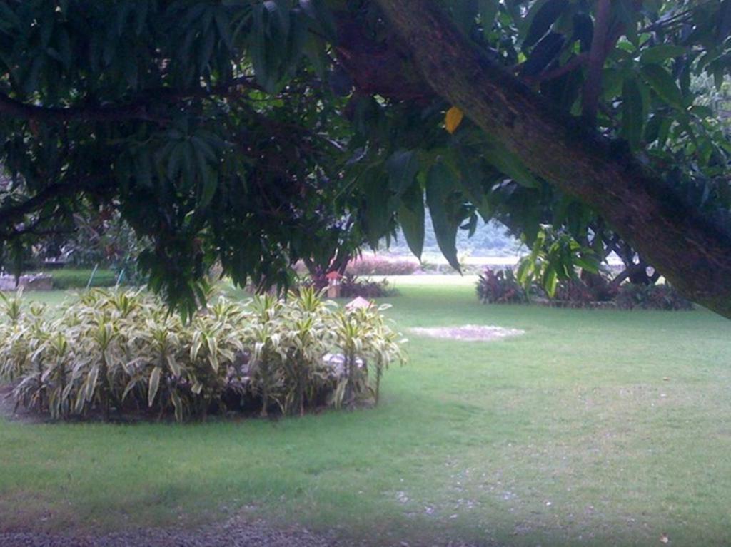 Dewdrop Mango Bloom Resort Найнитал Номер фото